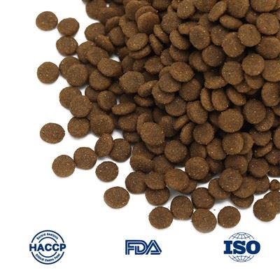 Best Cheap Cat Food