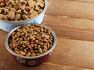 Mushukingizning ovqatini don pishirishga almashtirishingiz kerakmi? Mana nima...